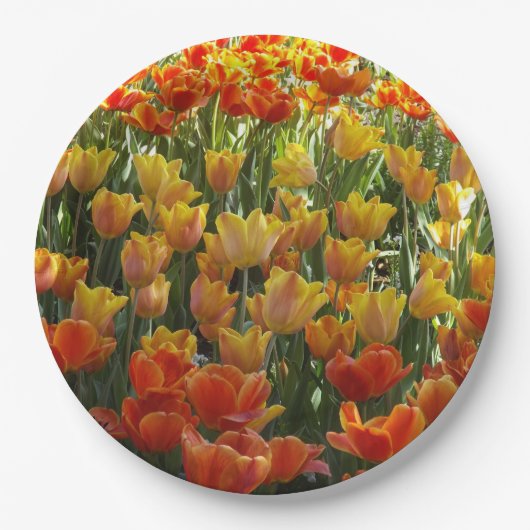 Tulips Paper Plates Pappteller (Vorderseite)