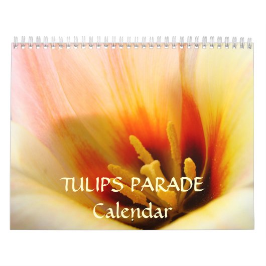 TULIPS PARADE Kalender - Blume für Freunde (Titelbild)
