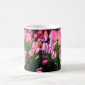 Tulips Peace Flame & Affaire #3 Tasse (Mittel)