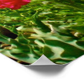 Tulips & Poppies Poster (Ecke)