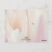 Tulips Postcard Postkarte (Rückseite)