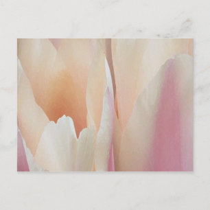 Tulips Postcard Postkarte