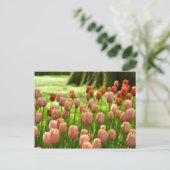 Tulips Postcard | Tulpen Postkarte (Stehend Vorderseite)