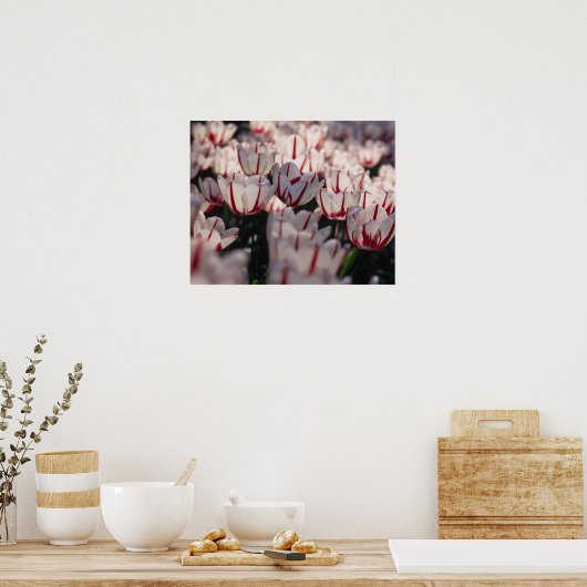 Tulips Poster (Küche)