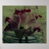 Tulips Poster (Vorne)