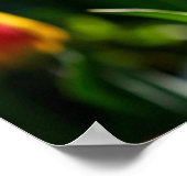 Tulips Poster (Ecke)