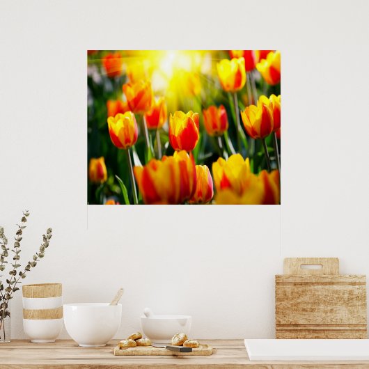 Tulips Poster (Küche)