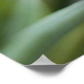 Tulips Poster (Ecke)