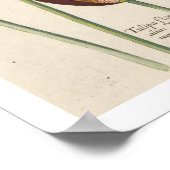 Tulips Poster (Ecke)