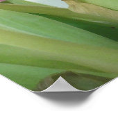 TULIPS POSTER (Ecke)