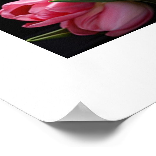 Tulips Poster (Ecke)