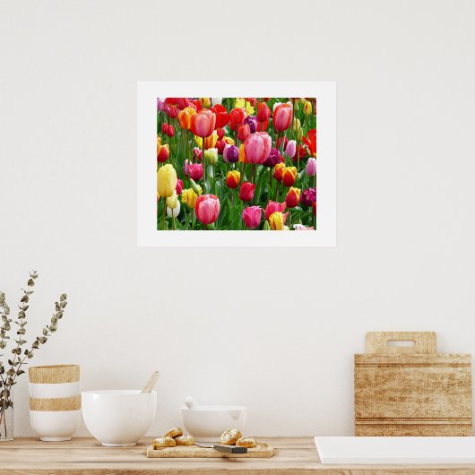 Tulips Poster (Küche)