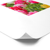 Tulips Poster (Ecke)