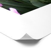 Tulips Poster (Ecke)