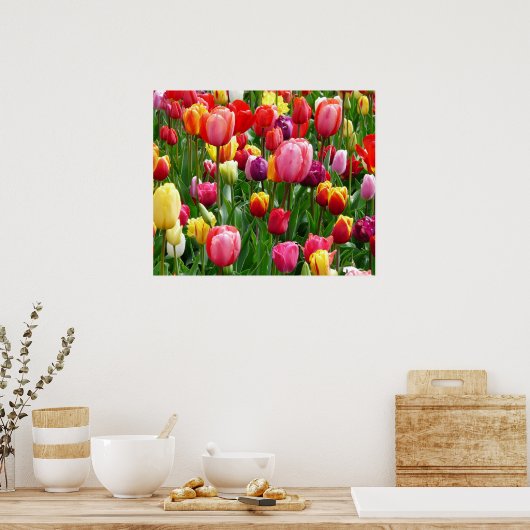 Tulips Poster (Küche)