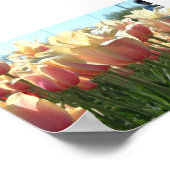 Tulips Poster (Ecke)