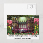 Tulips Postkarte (Vorne/Hinten)