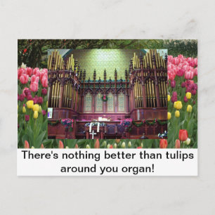 Tulips Postkarte