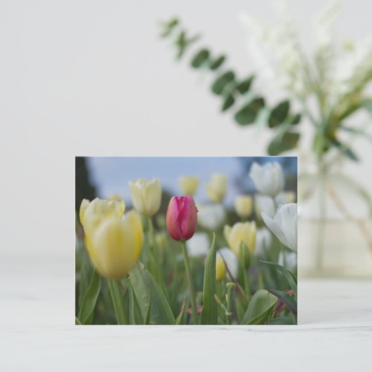 Tulips Postkarte (Stehend Vorderseite)