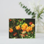 Tulips | Postkarte (Stehend Vorderseite)