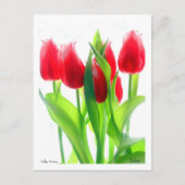 Tulips Postkarte (Vorderseite)