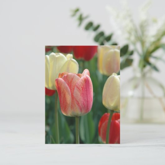 Tulips Postkarte (Stehend Vorderseite)