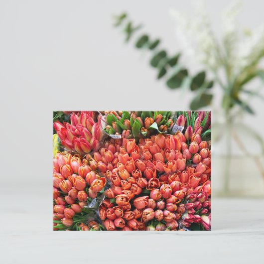 Tulips Postkarte (Stehend Vorderseite)