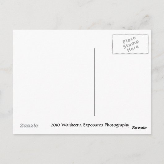 Tulips Postkarte (Rückseite)