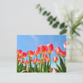 Tulips Postkarte (Stehend Vorderseite)
