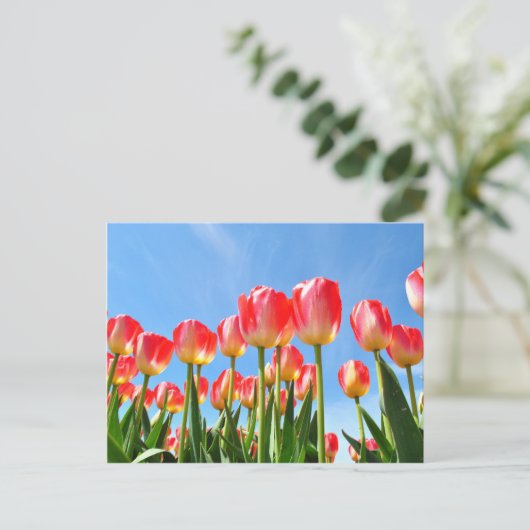 Tulips Postkarte (Stehend Vorderseite)
