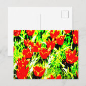 Tulips Postkarte (Vorne/Hinten)