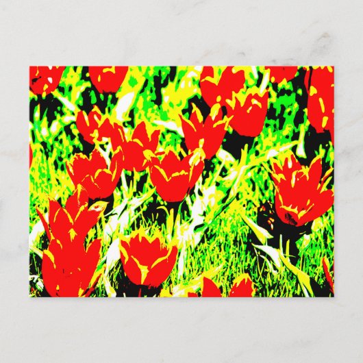 Tulips Postkarte (Vorderseite)