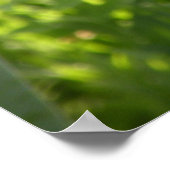 Tulips Print Poster (Ecke)