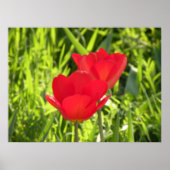 Tulips Print Poster (Vorne)