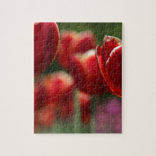 Tulips Puzzle