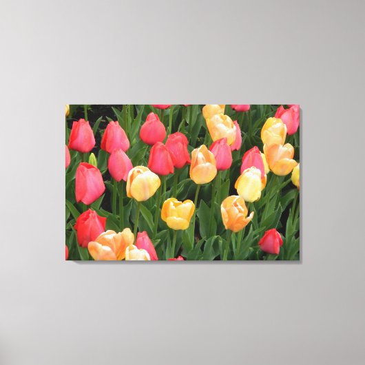 Tulips (rot/gelb) überzogene Canvas drucken Leinwanddruck (Vorderseite)