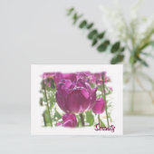 Tulips, Ruhe Postkarte (Stehend Vorderseite)