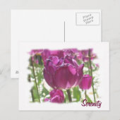 Tulips, Ruhe Postkarte (Vorne/Hinten)