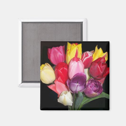 Tulips sagt alles magnet (Vorderseite/Rückseite)