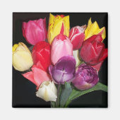 Tulips sagt alles magnet (Vorne)