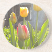 Tulips Sandstein Untersetzer (Vorne)