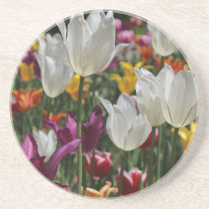 Tulips Sandstein Untersetzer