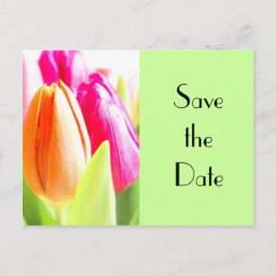 Tulips Save the Date Ankündigungspostkarte
