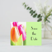 Tulips Save the Date Ankündigungspostkarte (Stehend Vorderseite)