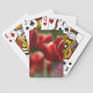Tulips Spielkarten
