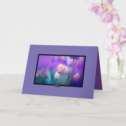 Tulips Sympathy Card Karte (Orchidee)