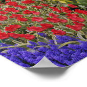 Tulips, Traubenblutinth und Affodilen, Poster (Ecke)