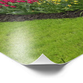 Tulips, Traubenblutinth und Narzissen, Fotodruck (Ecke)