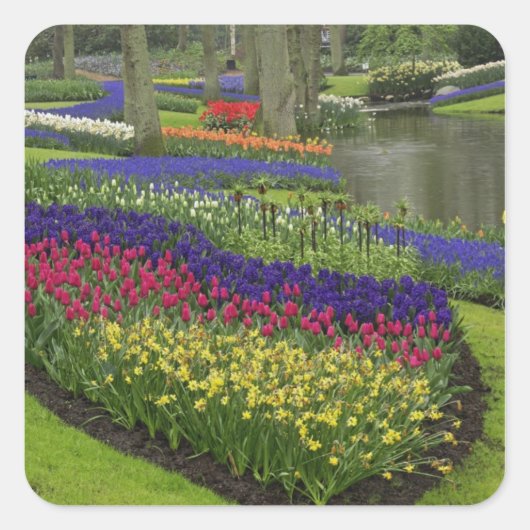 Tulips, Traubenblutinth und Narzissen, Quadratischer Aufkleber (Vorderseite)