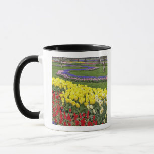 Tulips, Traubentrester und Affodile, Tasse